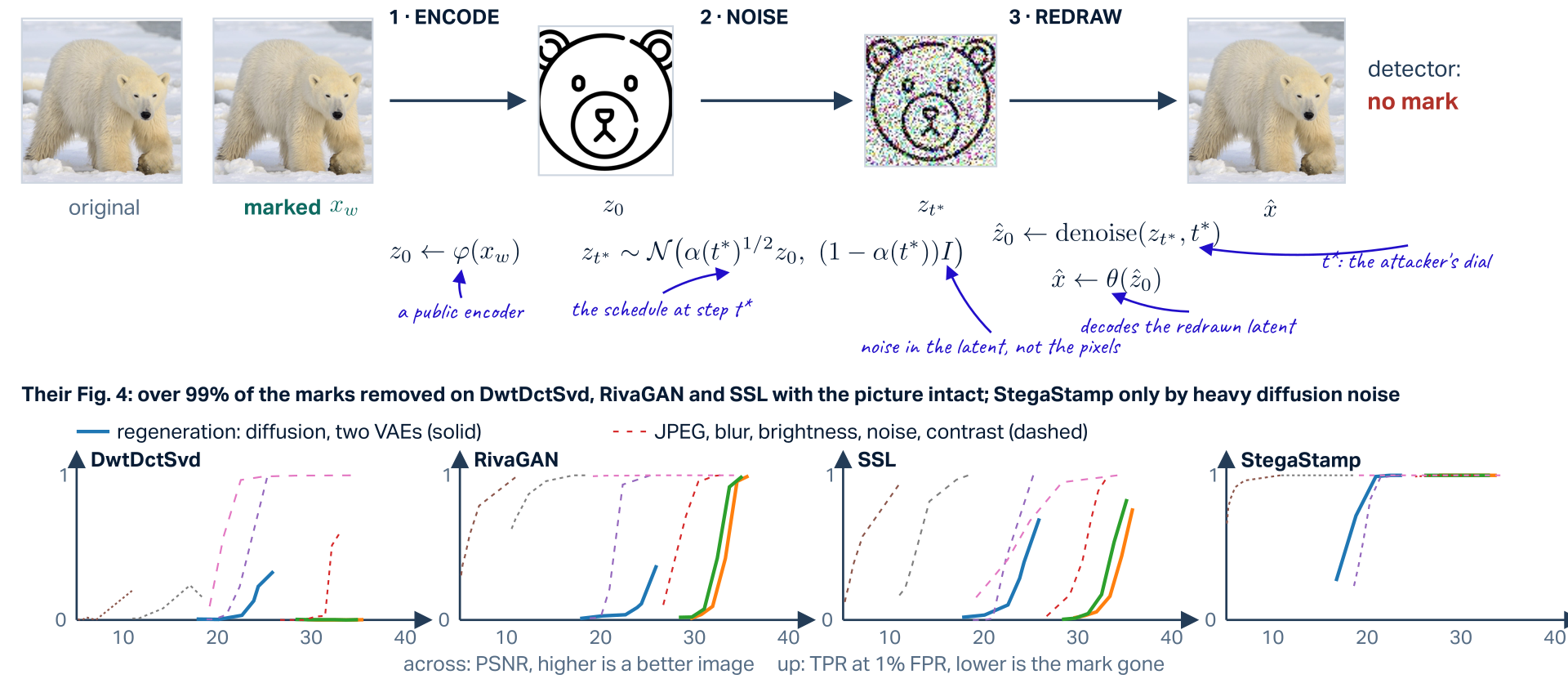 The regeneration attack of Zhao et al. run on the paper's own Figure 1 example. Top row: the original polar-bear photograph and the same photograph carrying the mark, x_w, with no visible difference. Step 1, encode: z_0 equals phi of x_w, phi a public encoder, the latent drawn as the paper's line-art bear. Step 2, noise: z_t-star is drawn from a Gaussian with mean alpha of t-star to the one half times z_0 and covariance one minus alpha of t-star times the identity, noise in the latent and not the pixels; the bear covered in noise. Step 3, redraw: z-hat_0 equals denoise of z_t-star at t-star, the attacker's dial, and x-hat equals theta of z-hat_0, theta decoding the redrawn latent; the regenerated photograph; detector: no mark. Bottom: their Figure 4 redrawn, four panels for DwtDctSvd, RivaGAN, SSL and StegaStamp, true-positive rate at 1 percent false-positive rate against PSNR; the three regeneration attacks (diffusion and two VAEs) solid, JPEG, blur, brightness, noise and contrast dashed. Over 99 percent of the marks are removed on the first three schemes with the picture intact; StegaStamp only by heavy diffusion noise.